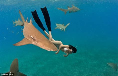 underwater nude|Underwater Nude Porn Pics & XXX Galleries